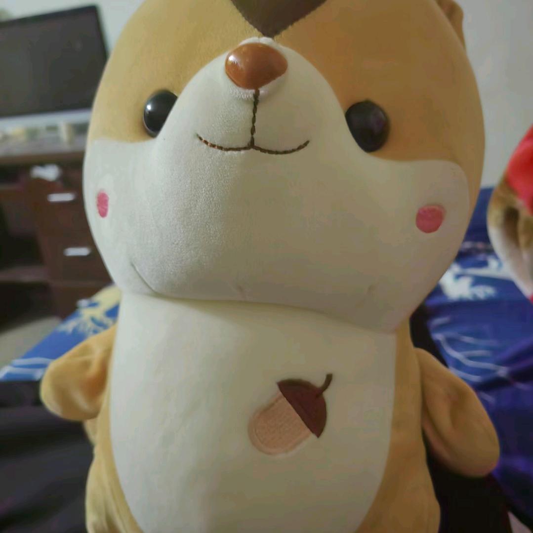 。？。？。。。