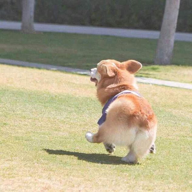 我想当李老板