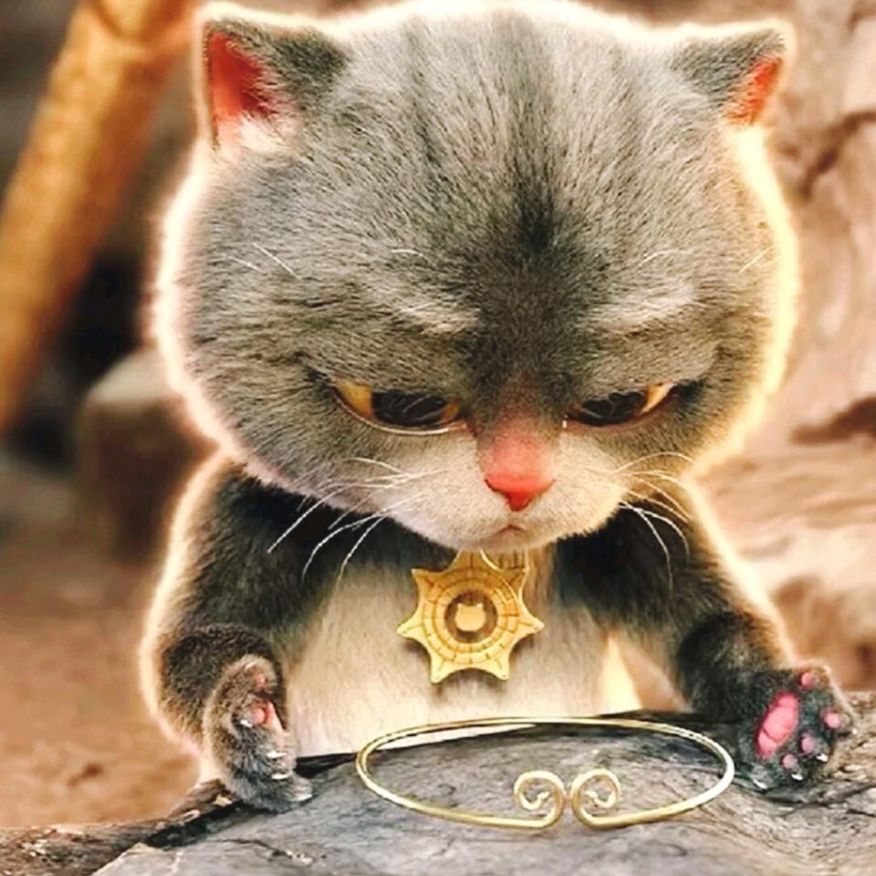 伴我久还是弃我走