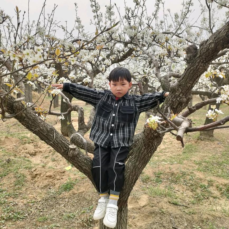 🥀ꦿ꯭顺李成张💞꧔ꦿ᭄