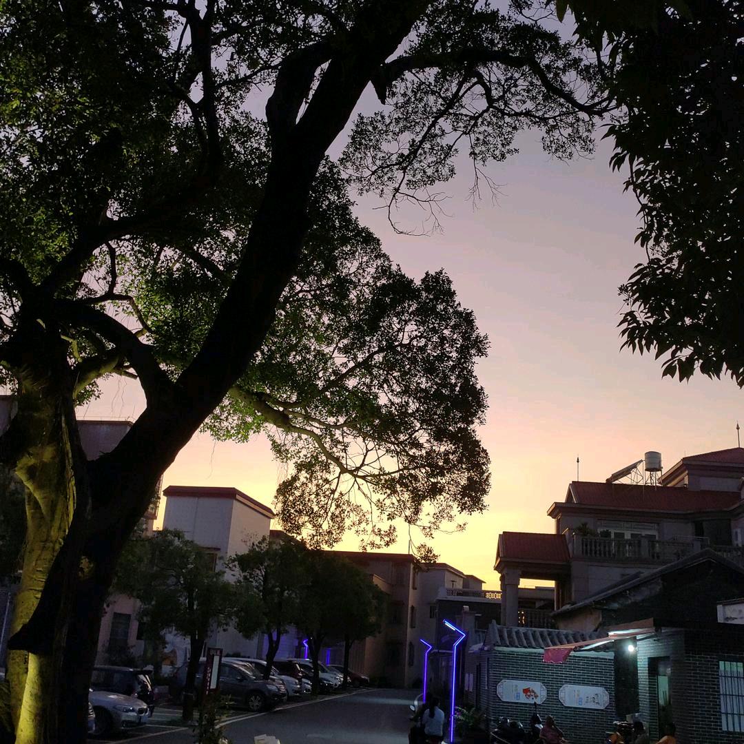 广东最深情的男人