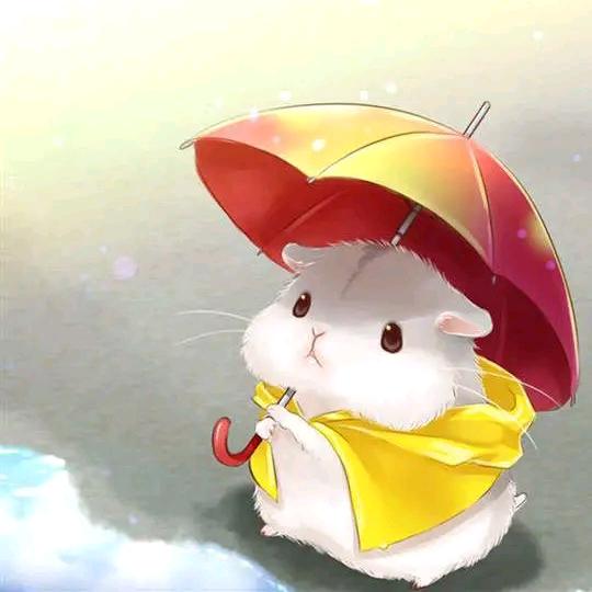 爱情，我戒了。