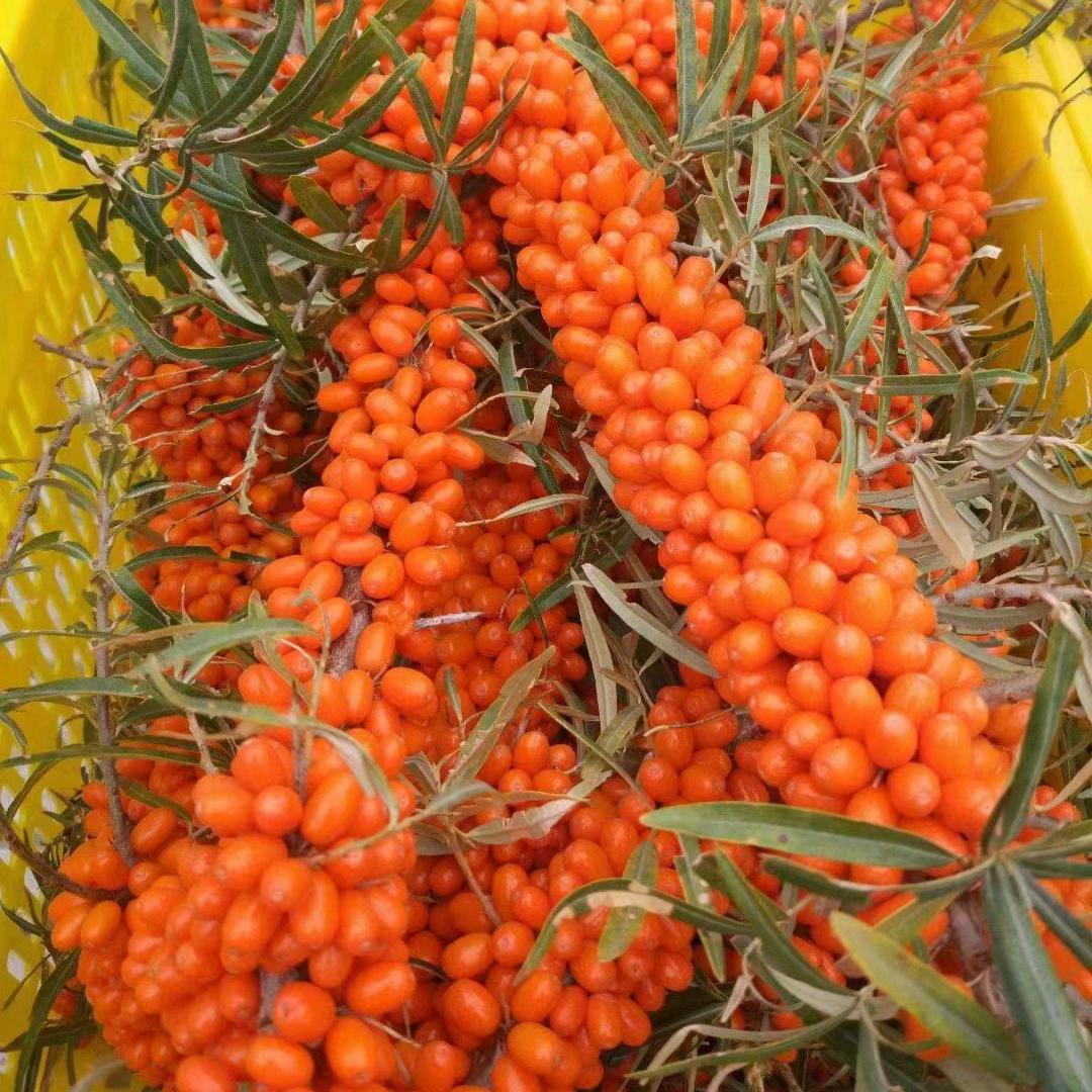 瓶中沙🐒⁵⁰²