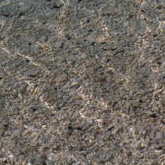 愿得一人心，白守不离分