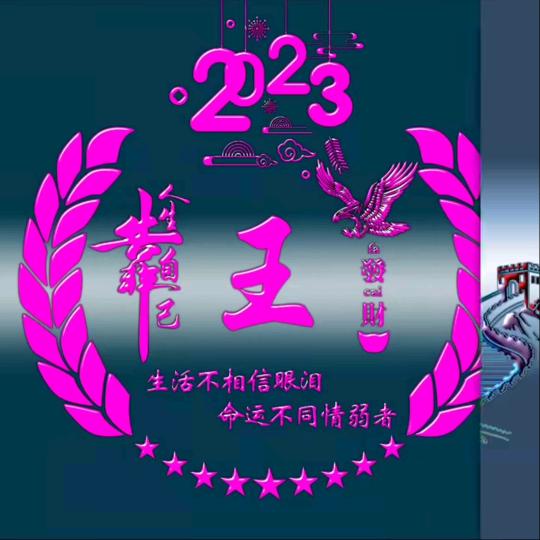 诸葛高冷