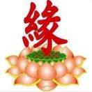 新丽