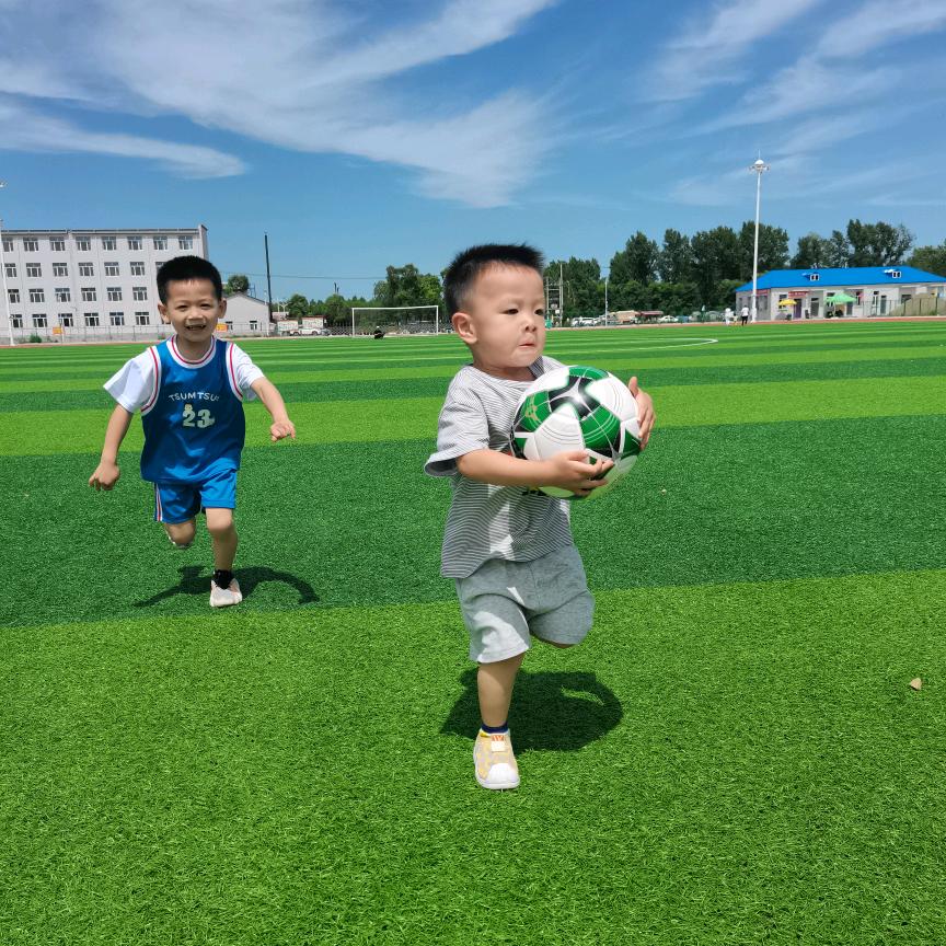 香菜根、