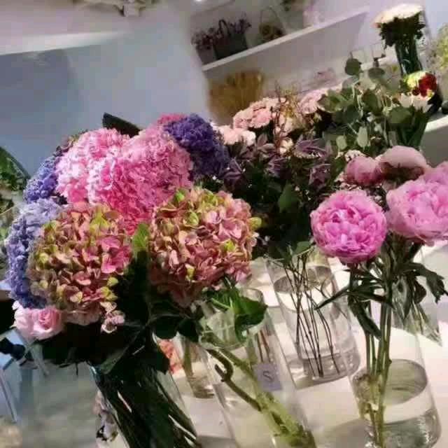 阿莲姐姐