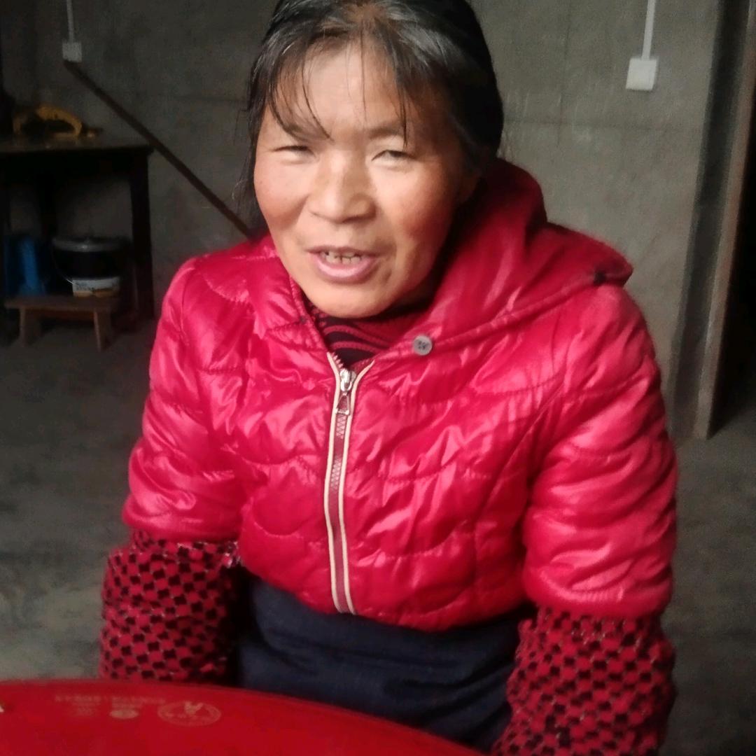 洪哥