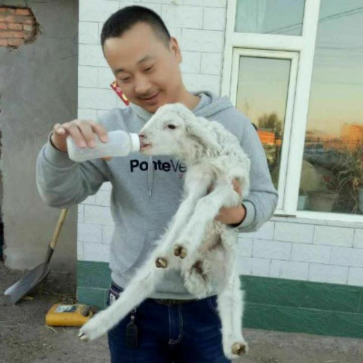 东子