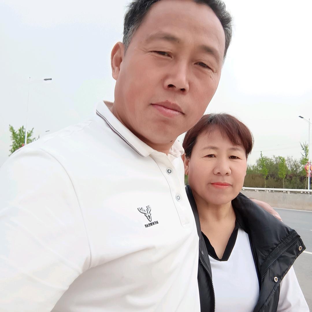 四季发财，专业伐树