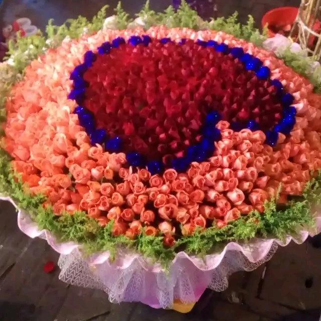 林姐