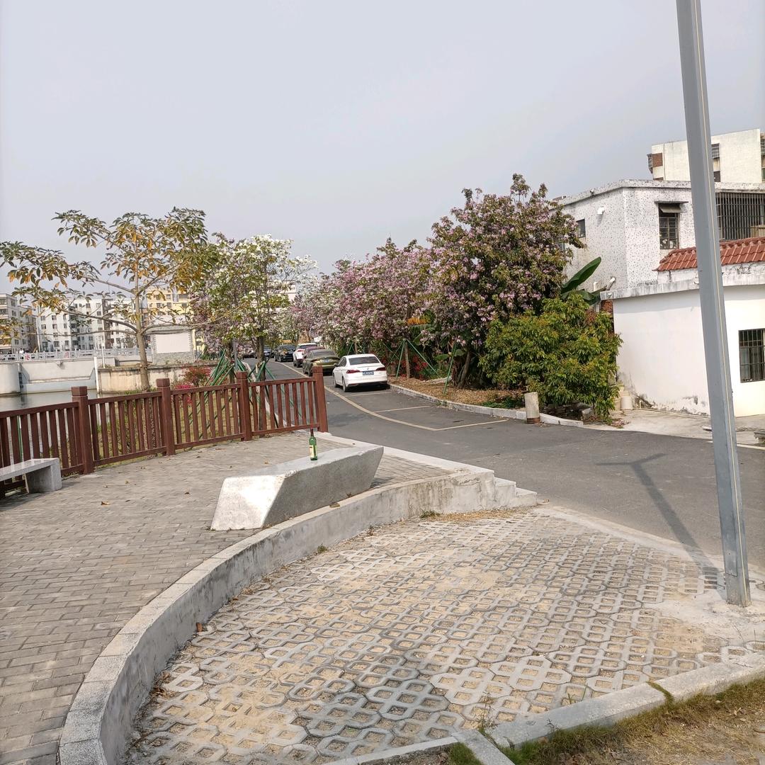 向前走