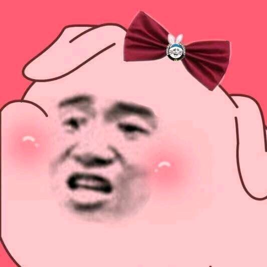 🐷猪猪星球大使