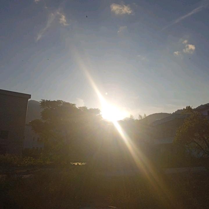玉石桂香