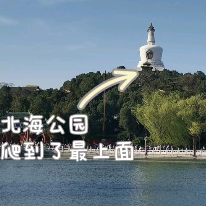 老富婆