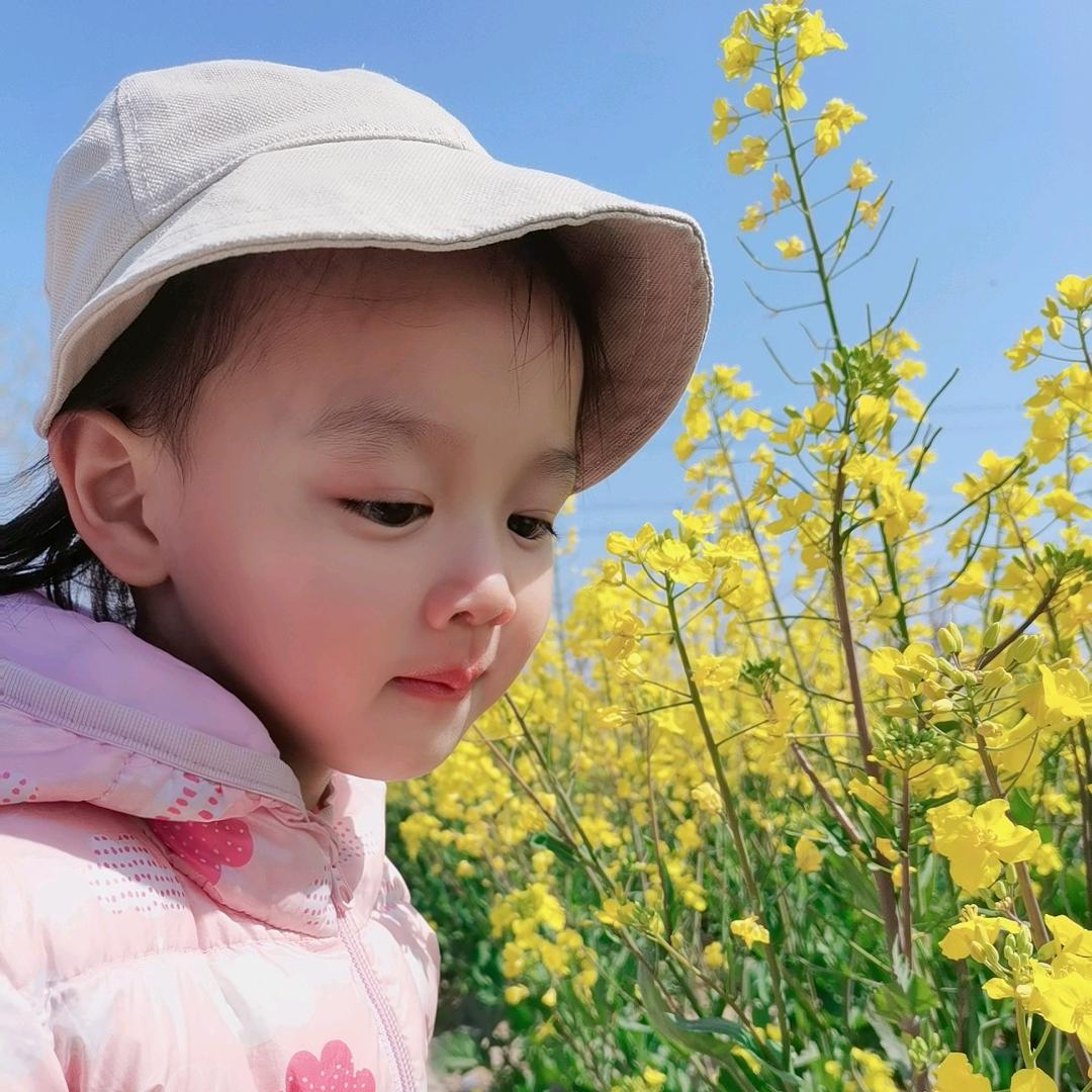 🐷番茄了个土豆