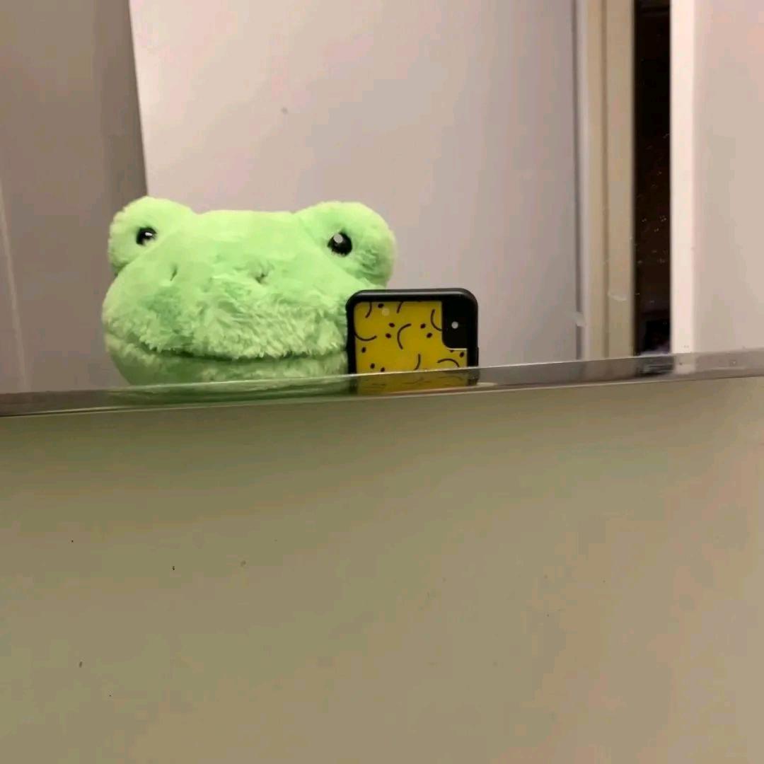 💩停停