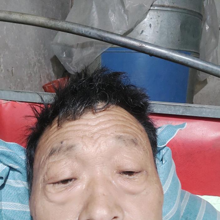 单身情歌