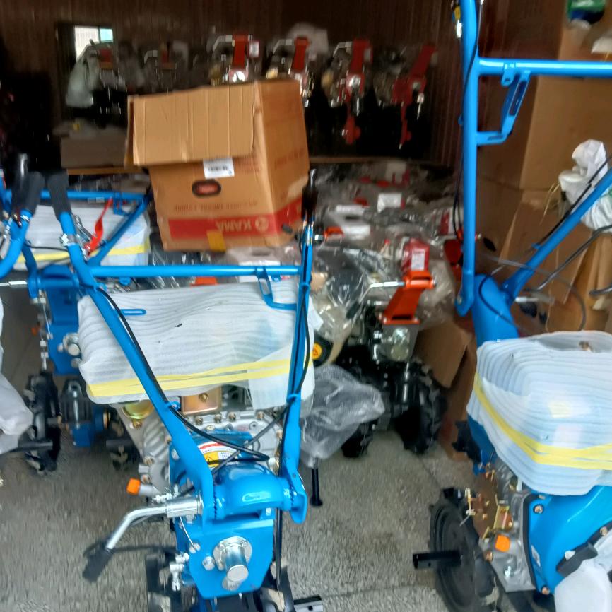 AAA💎💎好运永远💎💎