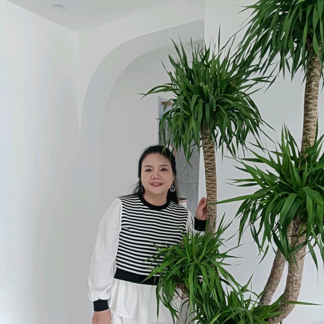红玫瑰