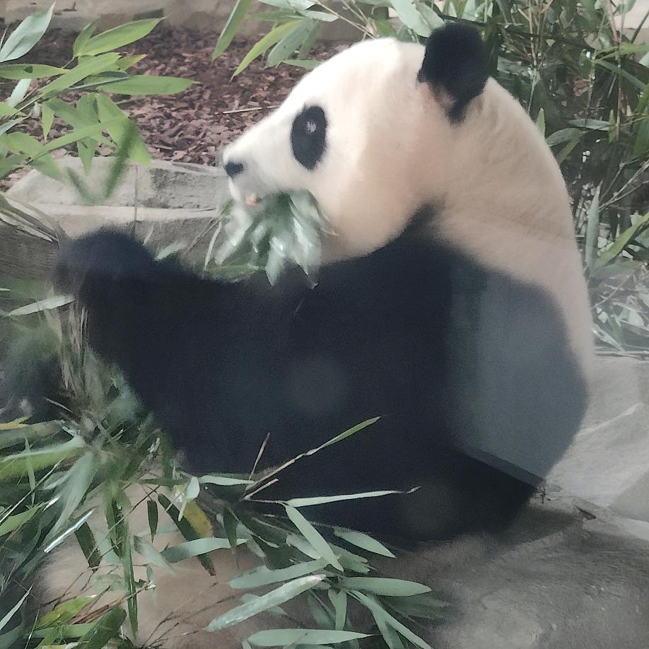 好运好