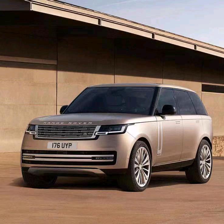 熬夜冠军小浣熊