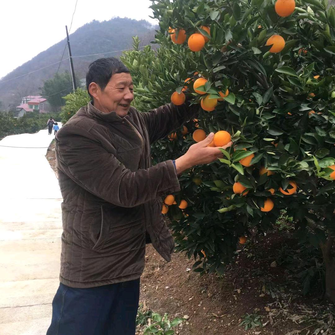 种橙子🍊的浩哥