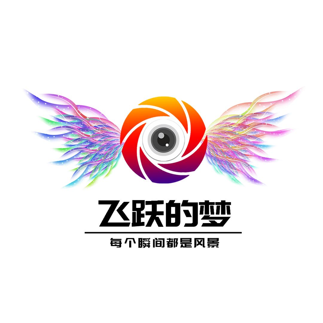 飞跃的梦✈️