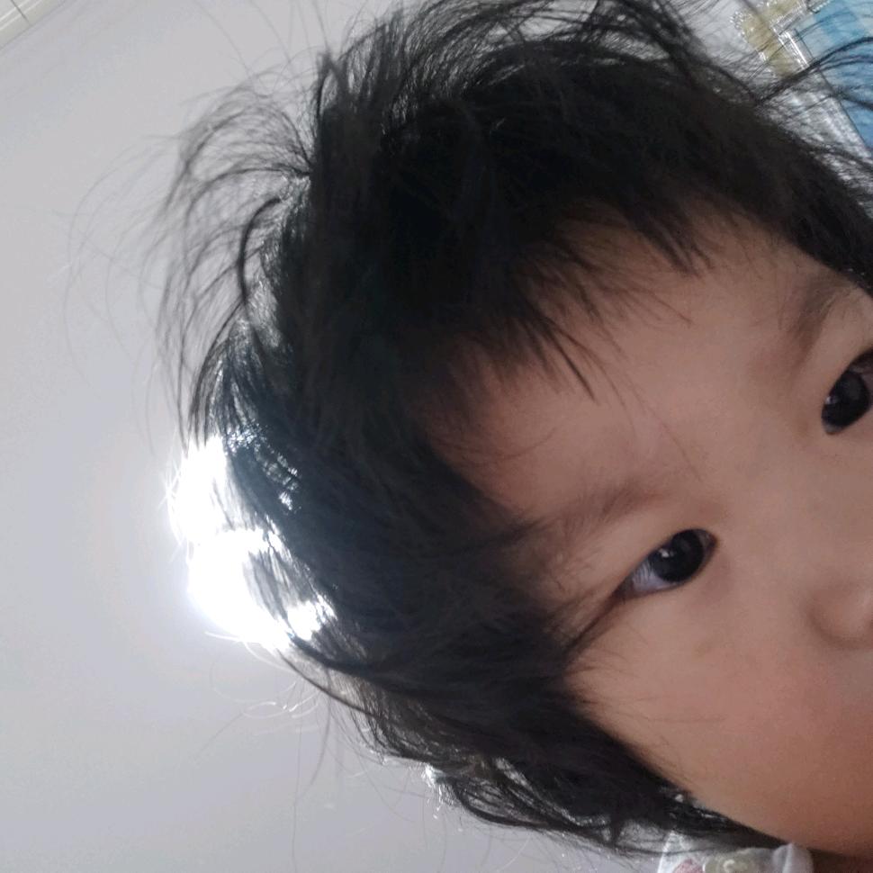 🌈🌞🌙✨🌸🍉☁️🐟🦐🐶