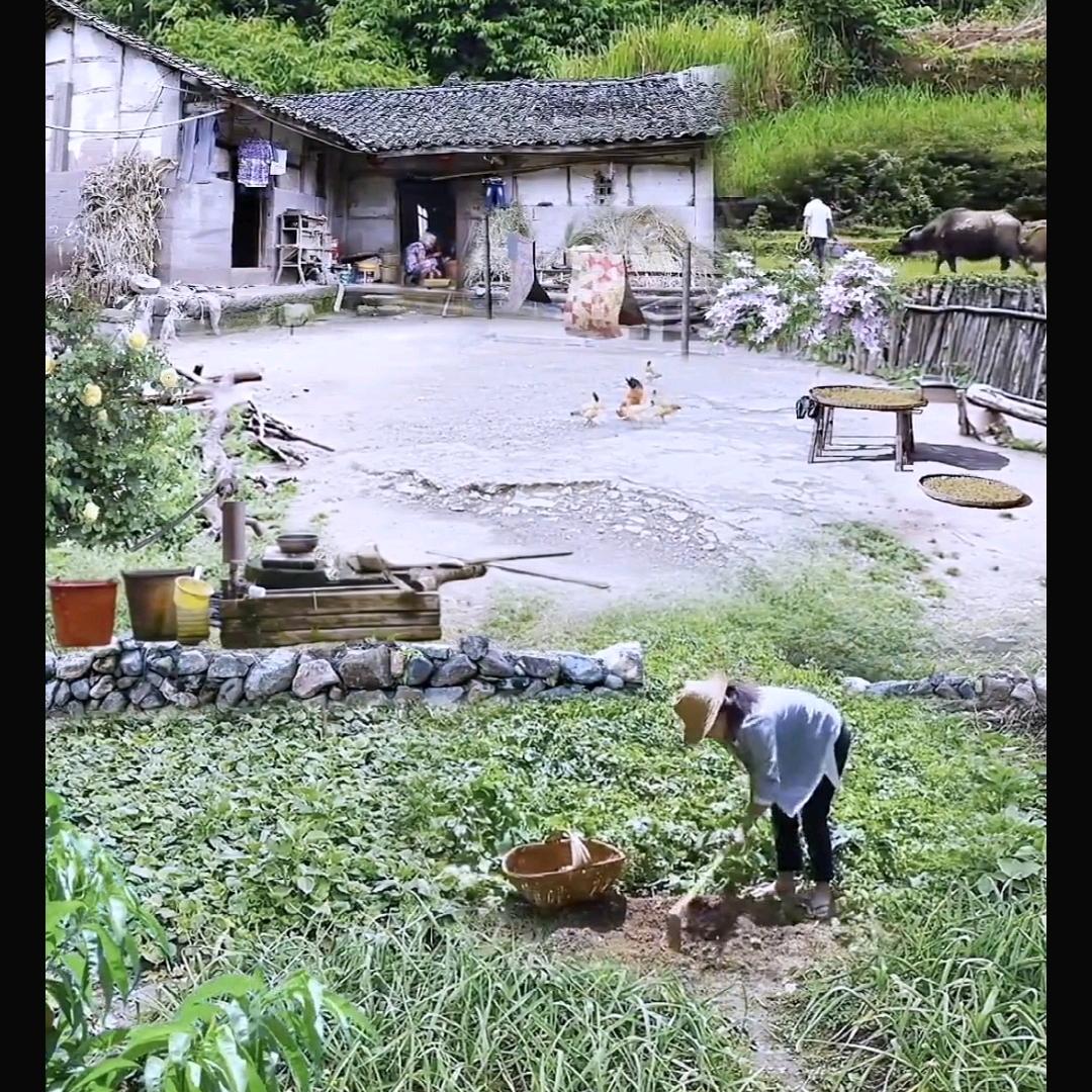 朴实的农村人