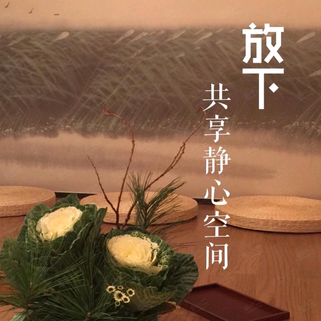 琴儿