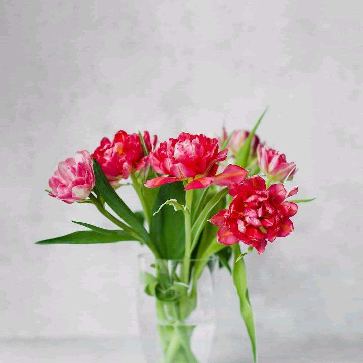 农村阿姐