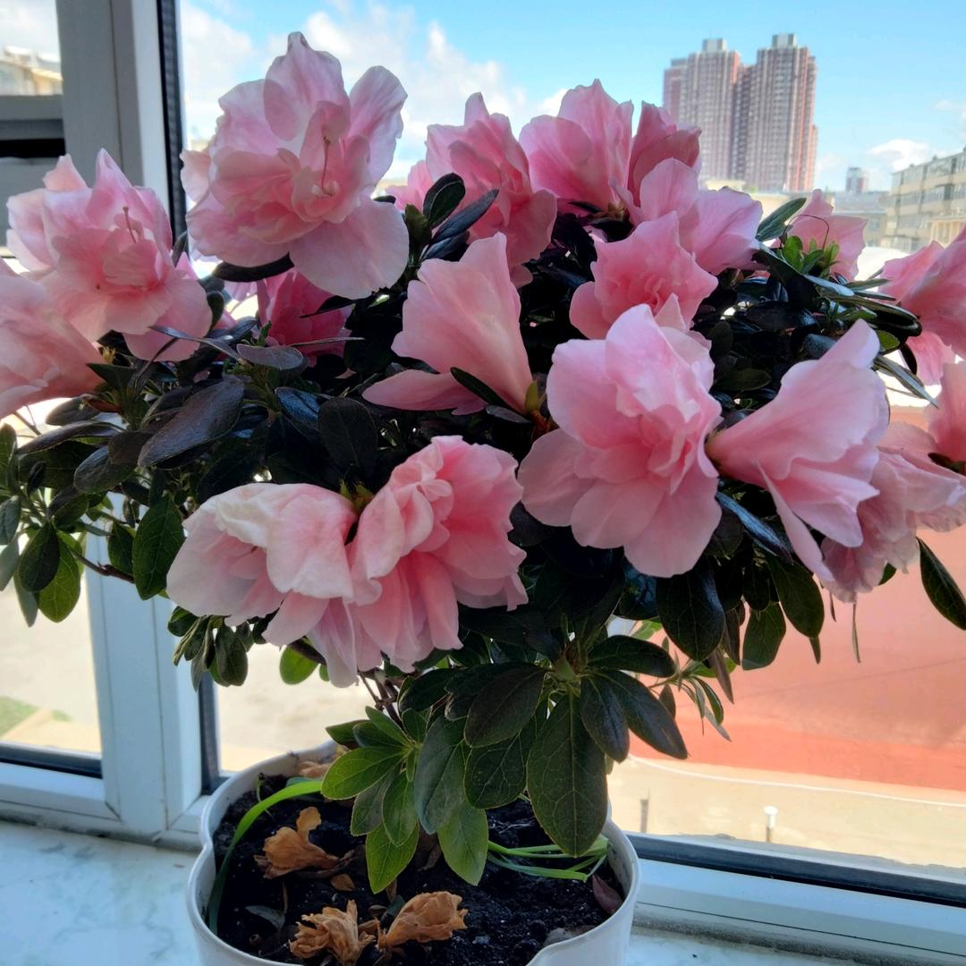 晓铭