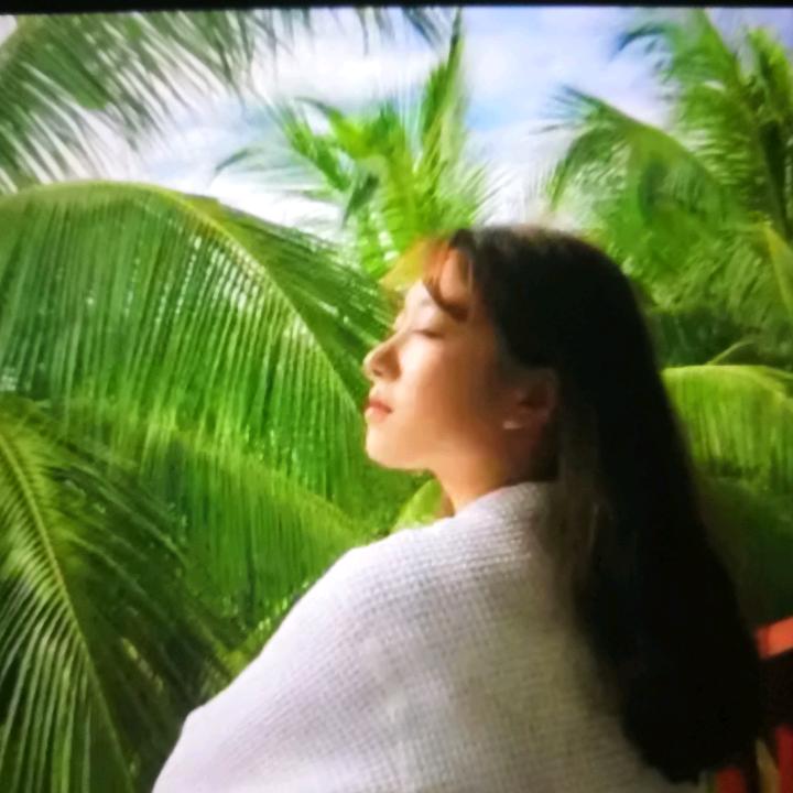 支烀👀后续