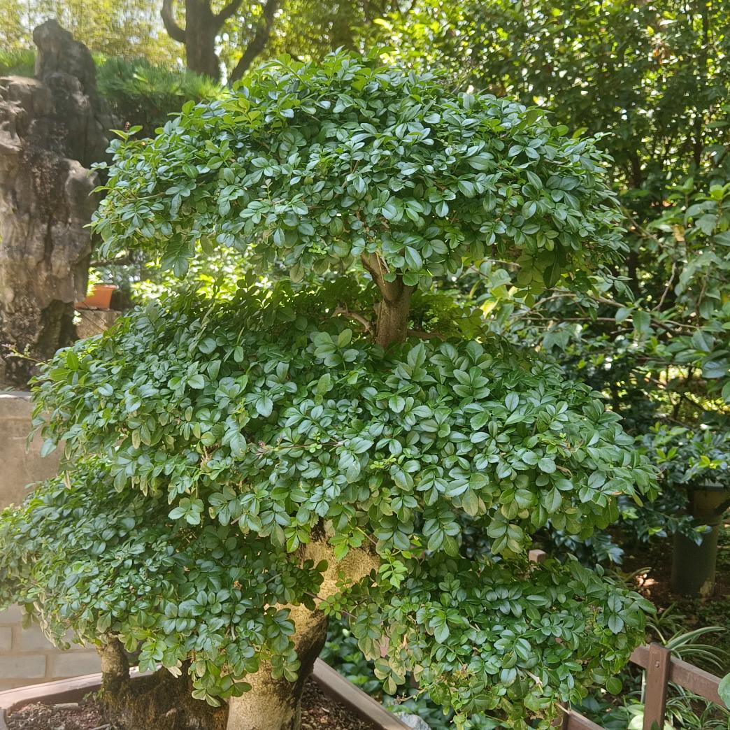 永恒