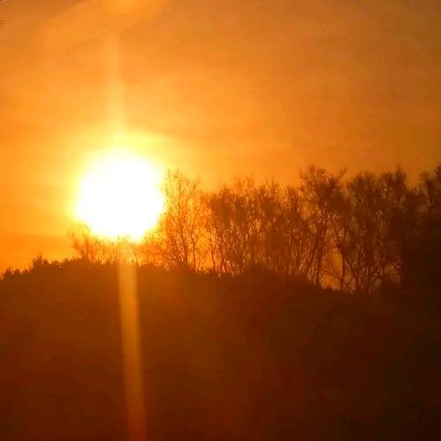 心不动，则不痛