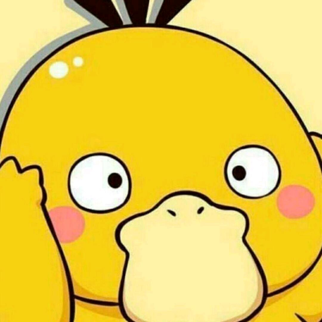 第一棒鸭