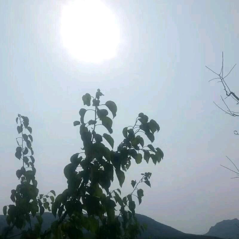 幸福之家.