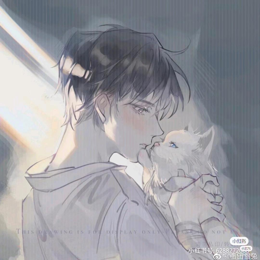 Time and cat