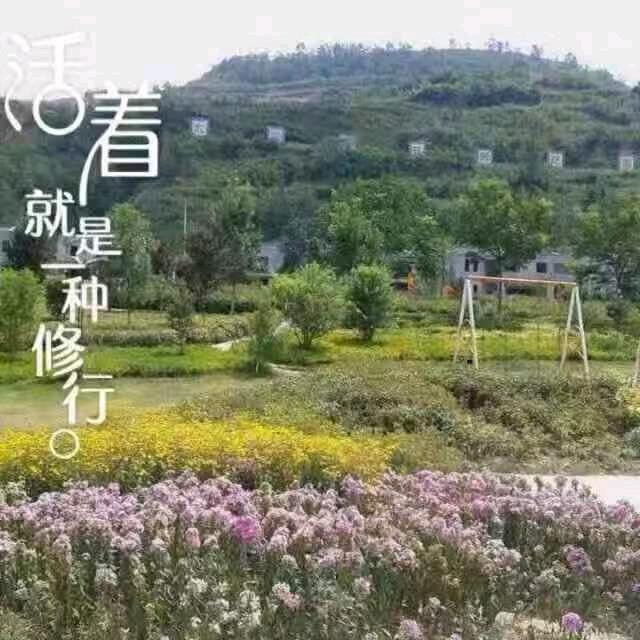 聆听春天