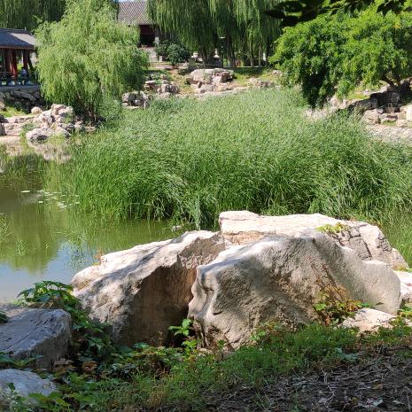 雁鸣湖纳豆（石家庄店）