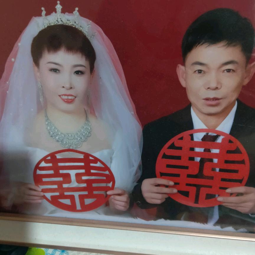 吴晶晶
