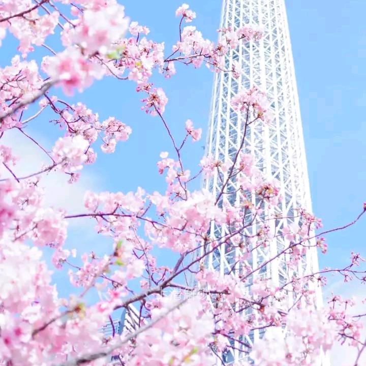 丫丫