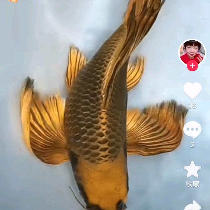 金玉满堂