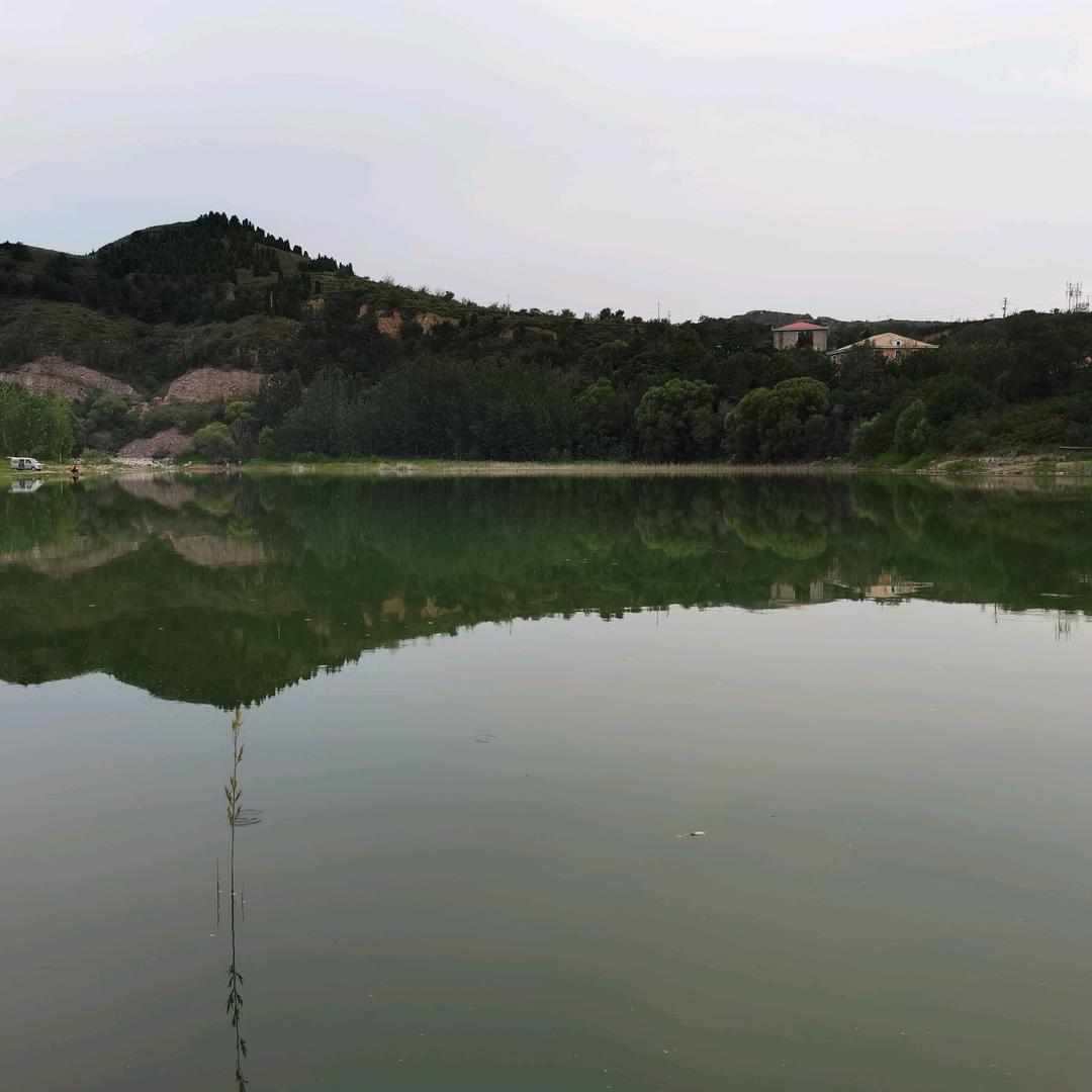 刘杰
