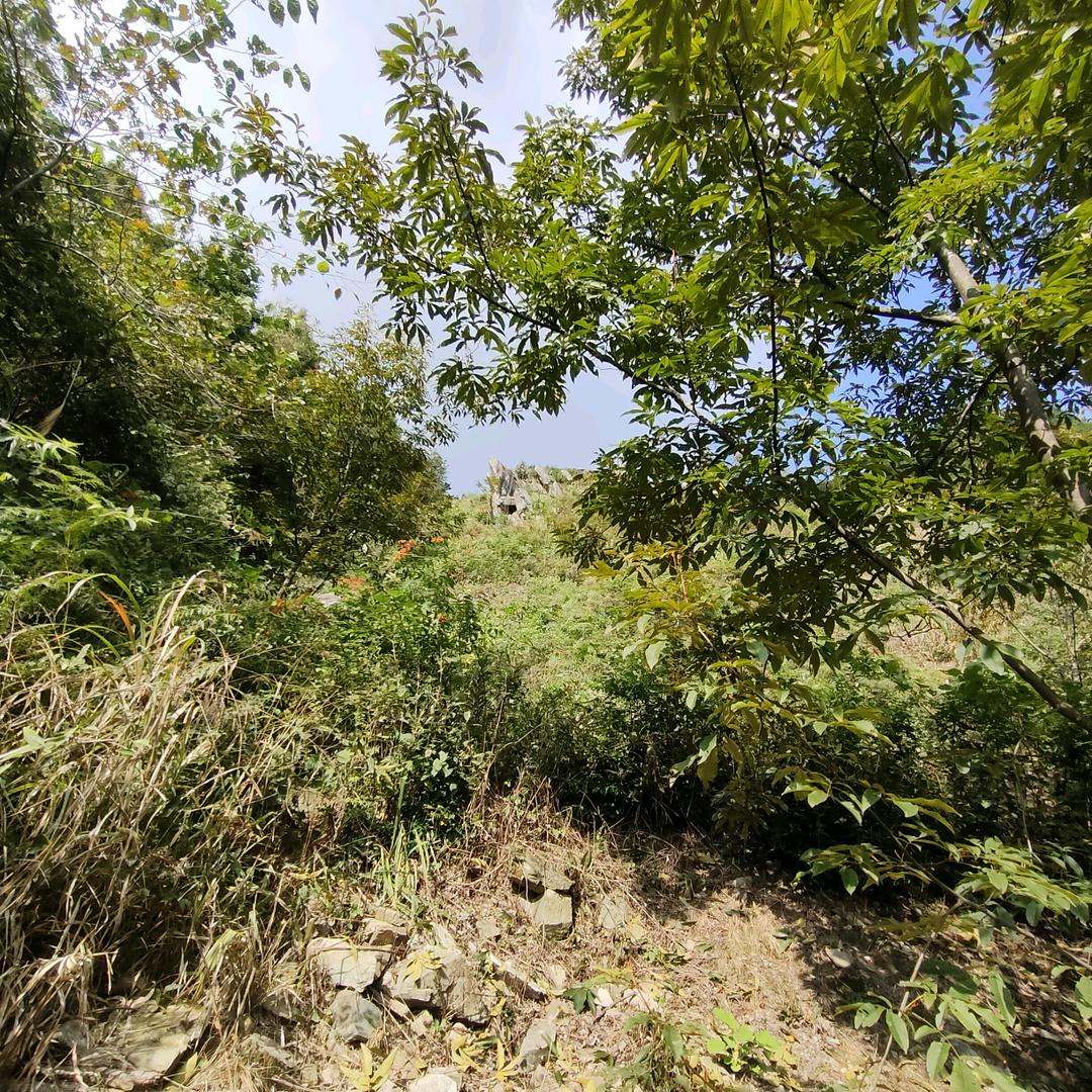 所有的遇见，都是久别重逢的亏欠！