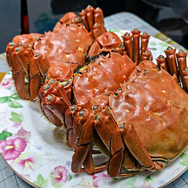 吴兴织里小楷副食店