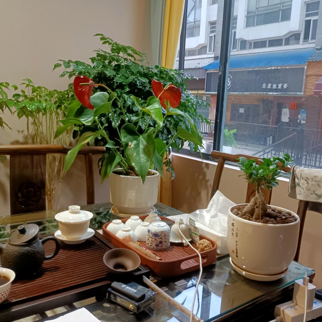 天沐之星·木桶浴·SPA•足疗