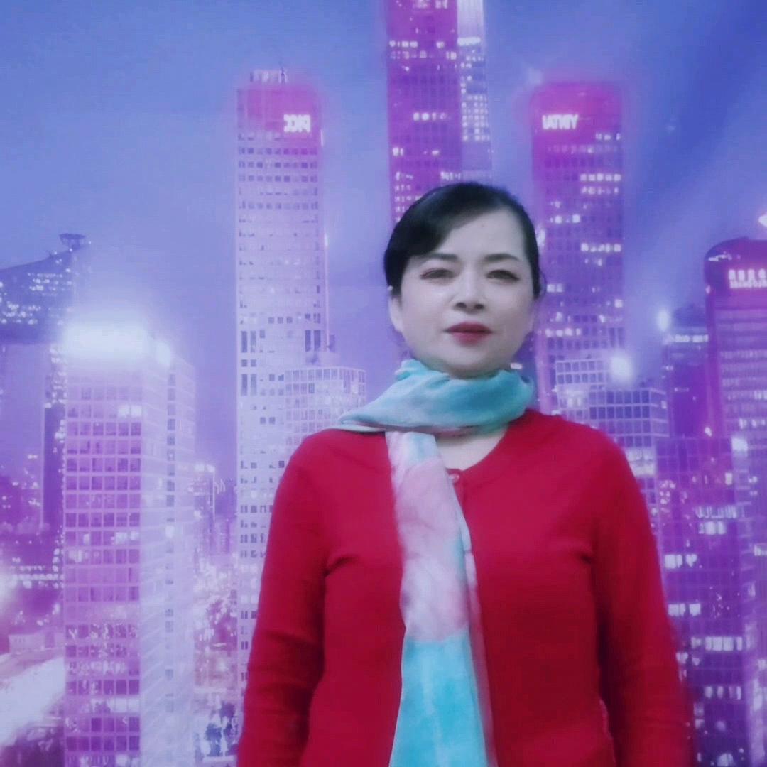 依旧小绵羊